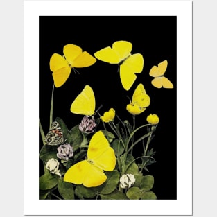 Yellow Butterflies & Flowers -Black Edition Posters and Art